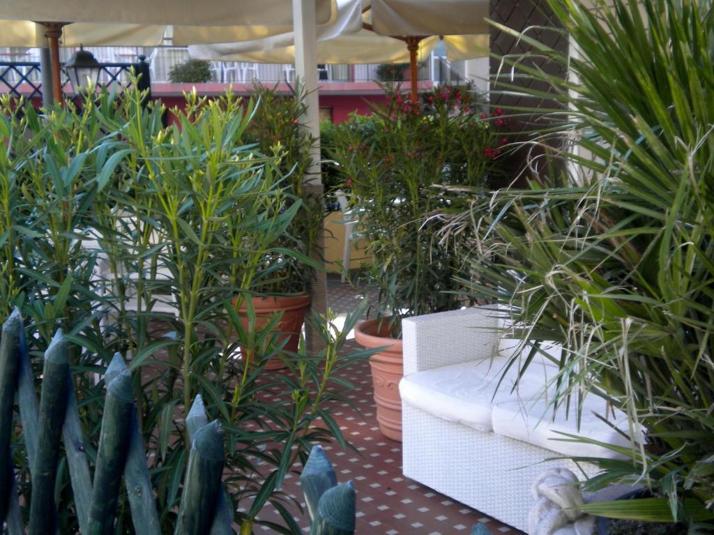 Hotel Nova Dhely Rimini Dış mekan fotoğraf